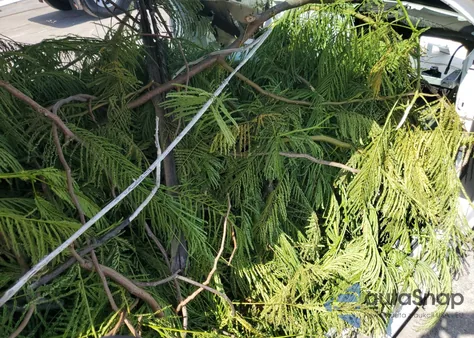 2012 Bentley Continental Gt z USA, uszkodzony, nr VIN SCBFR7ZA7CC071240